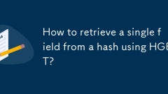 Wie rufe ich ein einzelnes Feld mit HGET aus einem Hash ab?