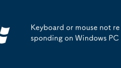 Papan kekunci atau tetikus tidak bertindak balas pada PC Windows