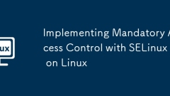 Implementierung der obligatorischen Zugriffskontrolle mit Selinux unter Linux
