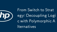 Dari Tukar ke Strategi: Decoupling Logic dengan Alternatif Polymorphic