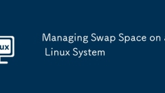 Verwalten des Swap -Platzes auf einem Linux -System