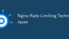 nginxレート制限手法