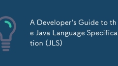 Java语言规范(JLS)的开发人员指南