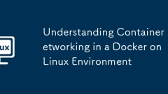 Comprendre le réseautage des conteneurs dans un Docker sur un environnement Linux