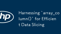 Exploitation `array_column ()` pour un tranchage de données efficace