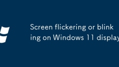 Windows 11 ??????? ?? ??? ?? ???