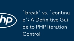«Break» vs «Continuer»: un guide définitif du contrôle d'itération PHP