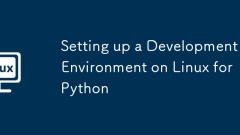 Menyediakan persekitaran pembangunan di Linux untuk Python
