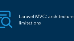 Laravel MVC : 아키텍처 제한