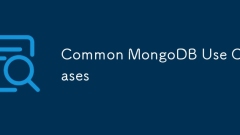 일반적인 MongoDB 사용 사례