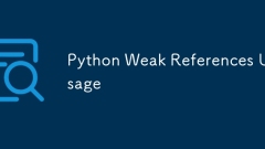 Python Weak References Usage