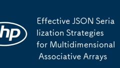 다차원 연관 어레이를위한 효과적인 JSON 직렬화 전략