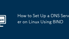 Cara Menyiapkan Pelayan DNS di Linux Menggunakan Bind