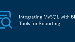 将MySQL与BI工具进行报告