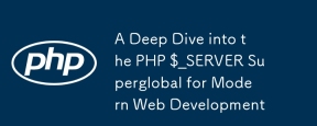 Ein tiefes Eintauchen in den PHP $ _server superglobal für die moderne Webentwicklung