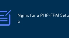 php-fpmセットアップのnginx