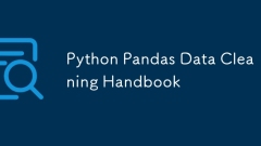 Manuel de nettoyage des données Python Pandas
