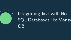 Intégration de Java aux bases de données NoSQL comme MongoDB