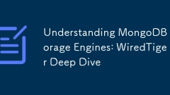 MongoDB 스토리지 엔진 이해 : WiredTiger Deep Dive