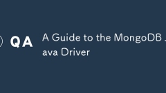 MongoDB Java 드라이버에 대한 가이드