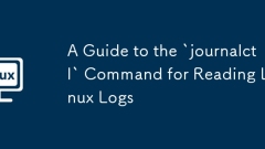 Linux 로그를 읽기위한`JournalCTL` 명령에 대한 안내서