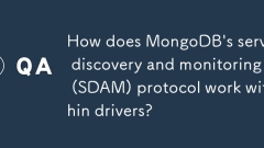 MongoDB의 서버 검색 및 모니터링 (SDAM) 프로토콜은 드라이버 내에서 어떻게 작동합니까?