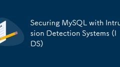 侵入検知システム(IDS)でMySQLを保護する