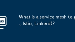 서비스 메쉬 란 무엇입니까 (예 : Istio, Linkerd)?