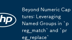 숫자 캡처 너머 :`preg_match '및`preg_replace'에서 명명 된 그룹을 활용합니다.
