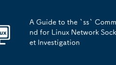 Linux ???? ?? ????? 'SS'?? ???