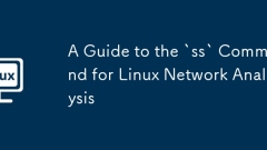 Linux ???? ????? 'SS'?? ???