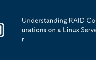 Understanding RAID Configurations on a Linux Server