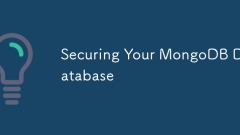 MongoDB 데이터베이스 확보