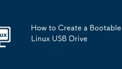 Cara Membuat Pemacu USB Linux Boostable