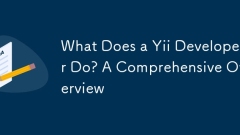 What Does a Yii Developer Do? A Comprehensive Overview