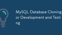 MySQL Database Cloning for Development and Testing