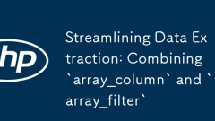 간소화 데이터 추출 :`array_column`과`array_filter`를 결합합니다