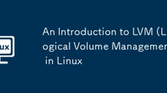 Linux의 LVM (Logical Volume Management) 소개