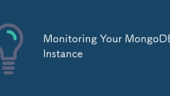 Monitoring Your MongoDB Instance