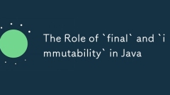java中`final'和`不變性的角色