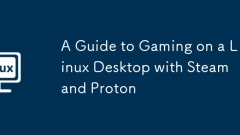 증기 및 양성자가있는 Linux 데스크탑의 게임 안내서