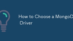 How to Choose a MongoDB Driver