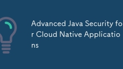 Advanced Java Security for Cloud Native Applications