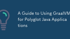 ポリグロットJavaアプリケーションにGraalvmを使用するためのガイド