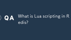 Lua 스크립팅은 Redis의 란 무엇입니까?