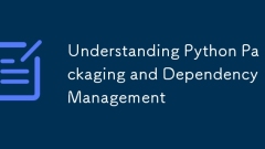 Pythonパッケージングと依存関係管理の理解