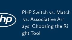 PHP 스위치 대 매치 대 연관 배열 : 올바른 도구 선택