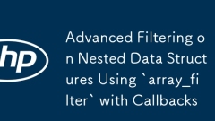 使用' array_filter”对嵌套数据结构进行高级过滤,带回调