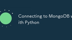 Connecting to MongoDB with Python