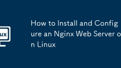 How to Install and Configure an Nginx Web Server on Linux